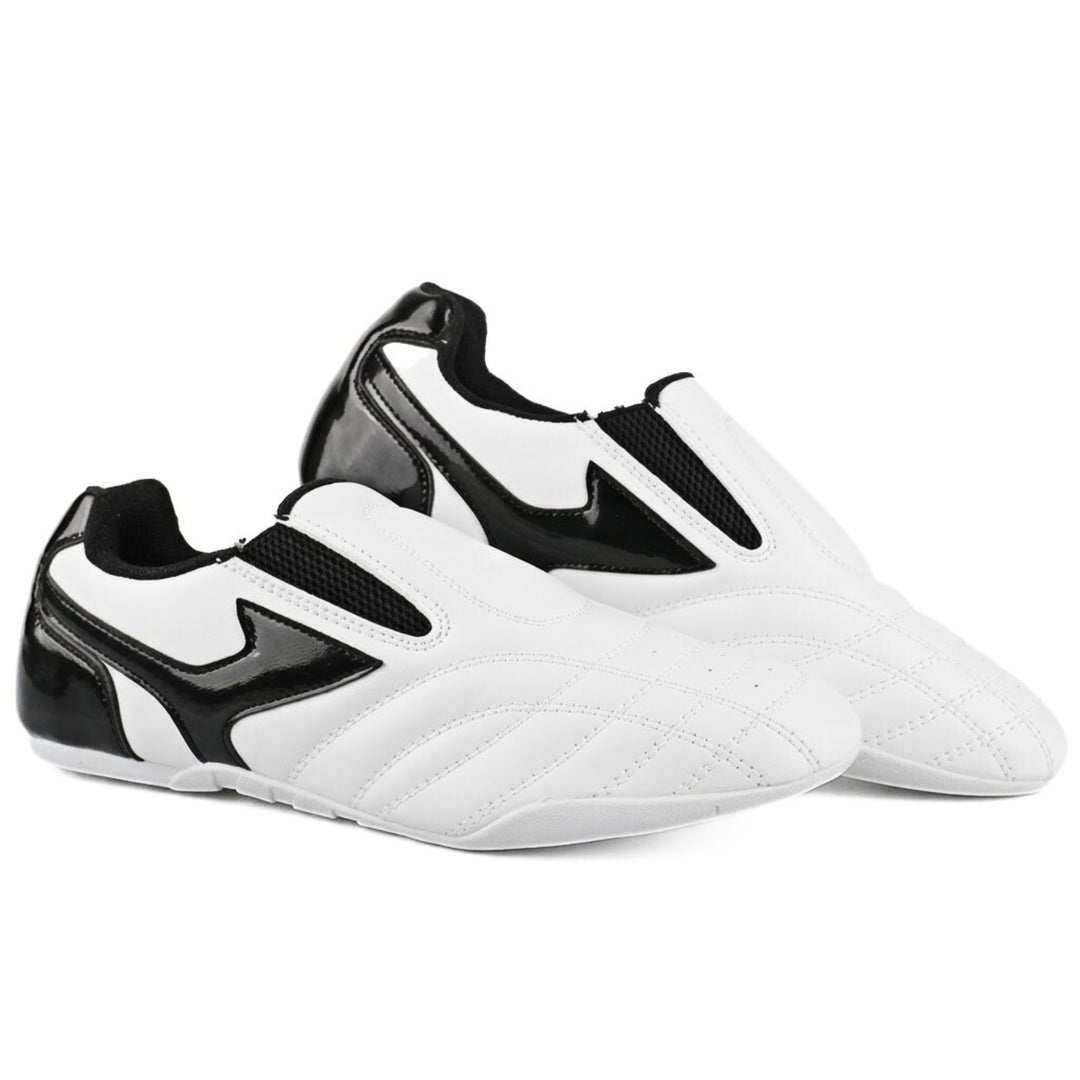 Taekwondo Schoenen