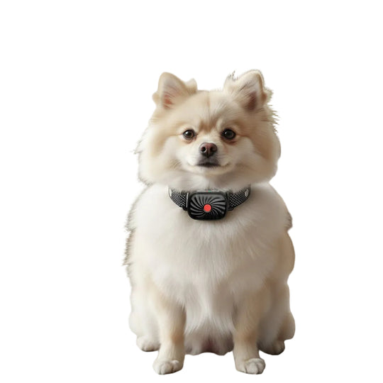 Antiblafhalsband voor Kleine Honden met Geluid en Trillingen 0