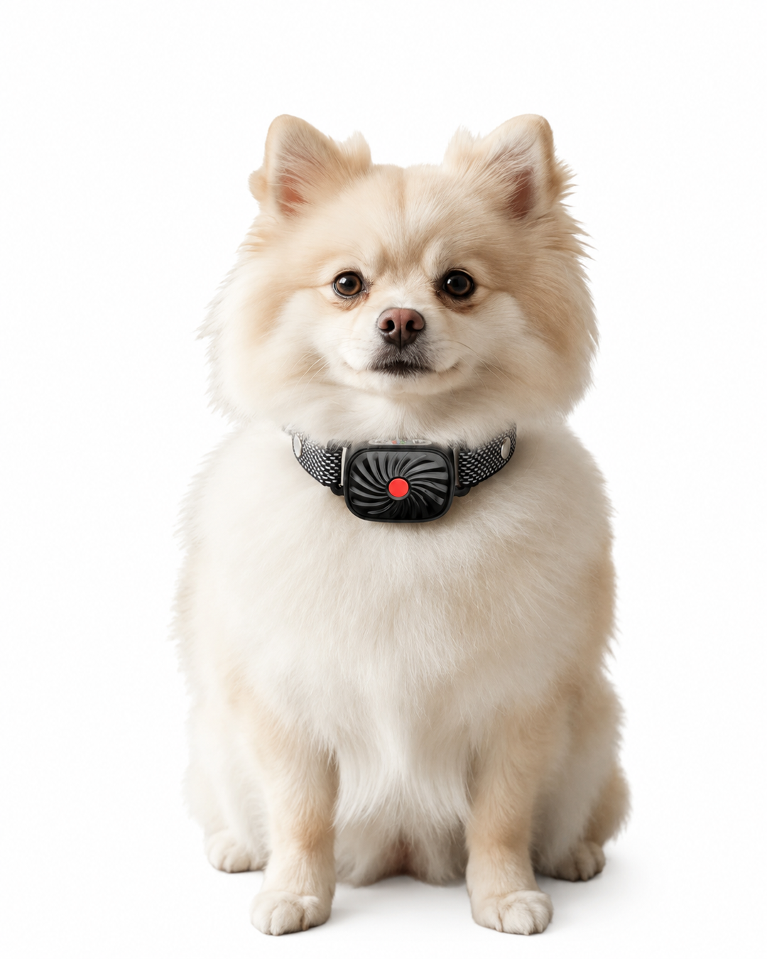 Antiblafhalsband voor Kleine Honden met Geluid en Trillingen