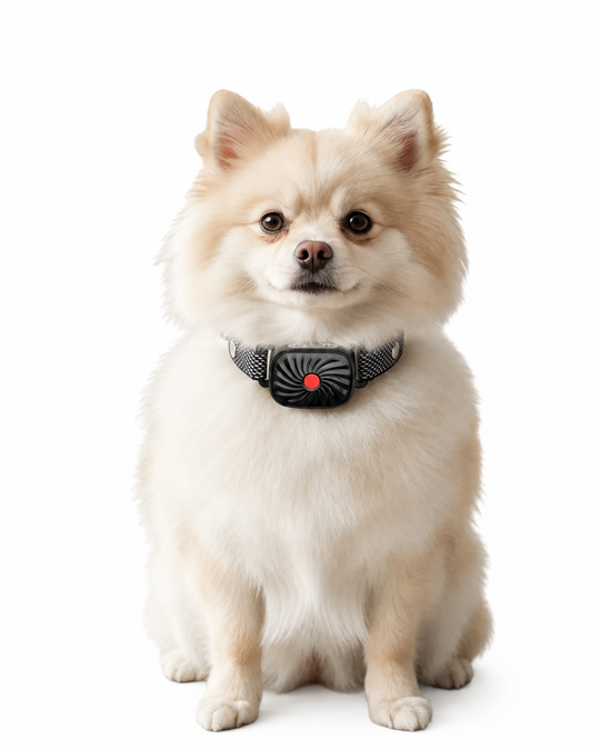 Antiblafhalsband voor Kleine Honden met Geluid en Trillingen