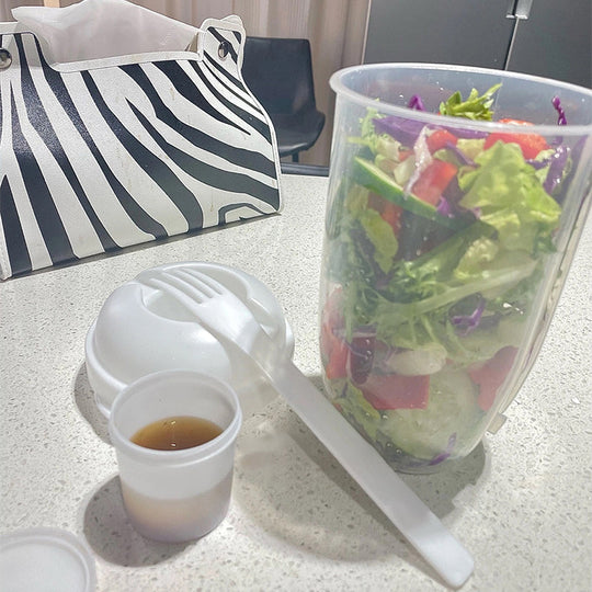 Draagbare Saladecontainer Met Dressinghouders 1000 ml 6