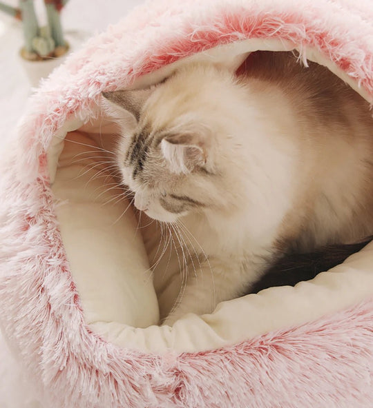 Honden- en kattenmand voor een knusse en veilige omgeving 3