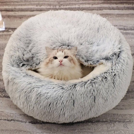 Honden- en kattenmand voor een knusse en veilige omgeving 4