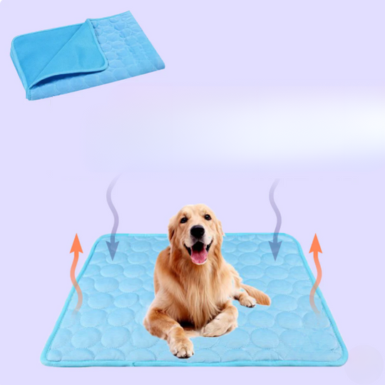 Honden Koelmat Innovatief Design 8