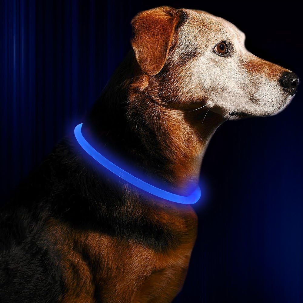 Honden LED-halsband Oplaadbaar Veiligheidslampje 1