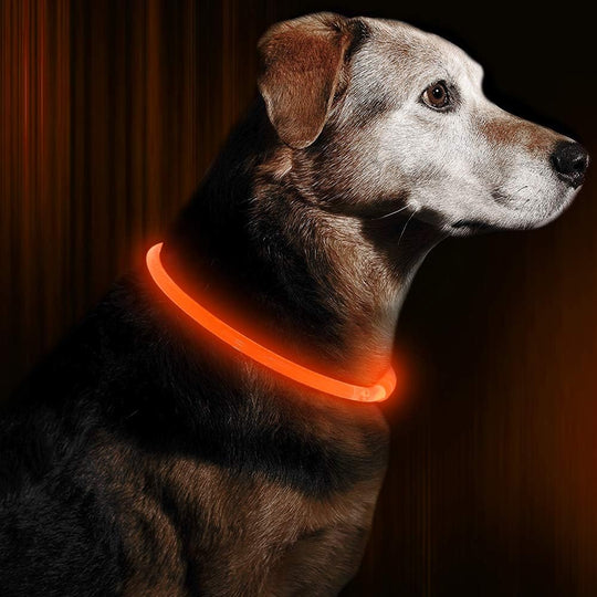 Honden LED-halsband Oplaadbaar Veiligheidslampje 3
