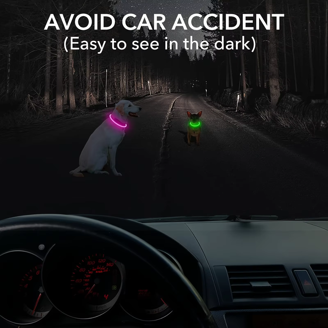 Honden LED-halsband Oplaadbaar Veiligheidslampje 5