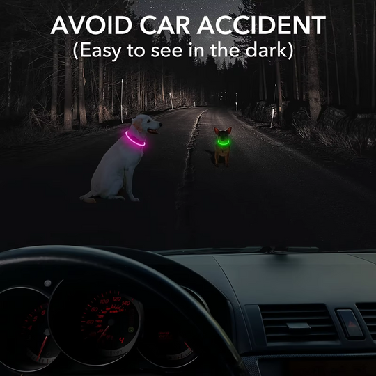 Honden LED-halsband Oplaadbaar Veiligheidslampje 5