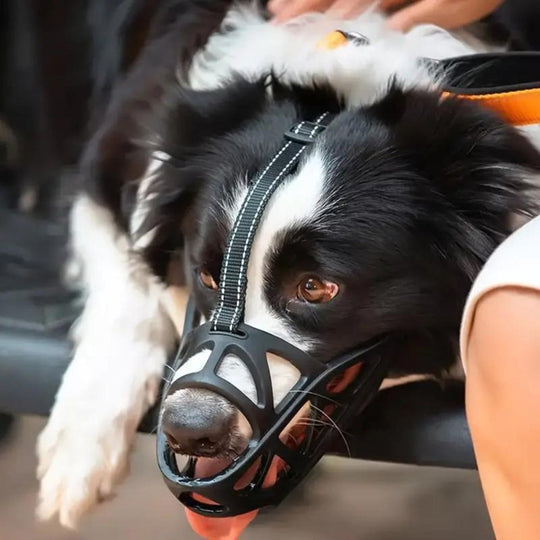 Honden Muilkorf Ademend en Lichtgewicht voor Comfortabele Controle 2