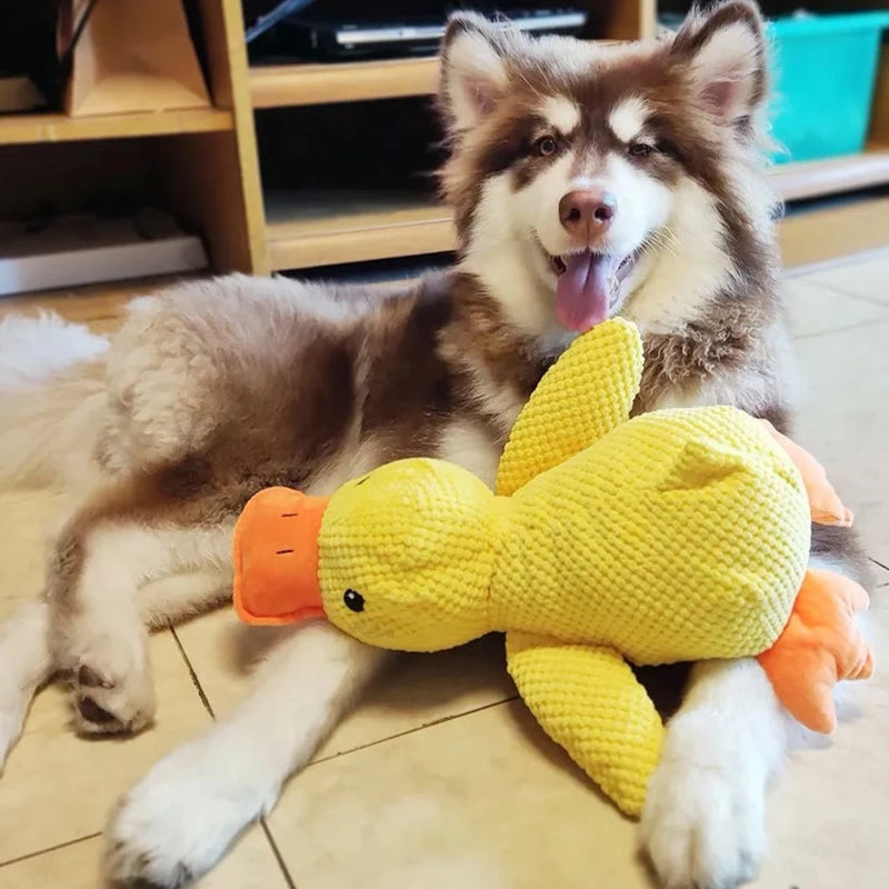 Honden Speelgoed Kalmerende Eend 1