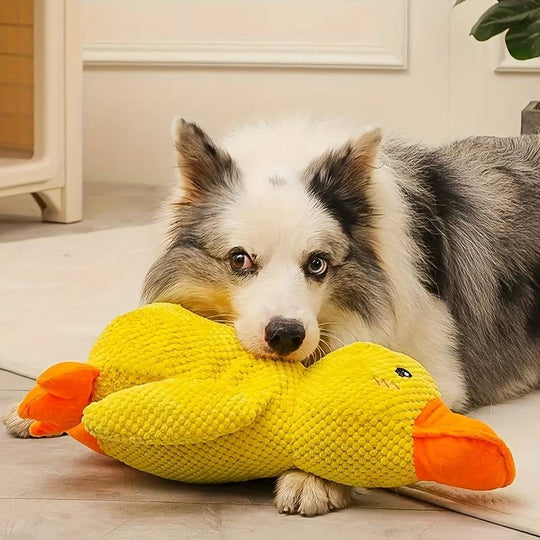 Honden Speelgoed Kalmerende Eend 3