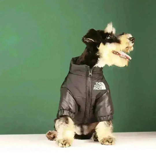 Honden Winterjas Met Ritssluiting 1