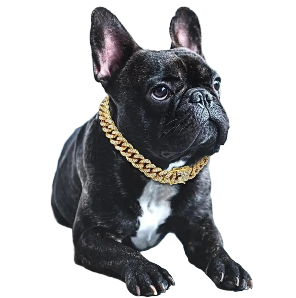 Hondenhalsband met Gouden Ketting en Zirkonia-diamanten 0