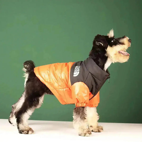 Hondenjas Winter Pufferstijl Met Rits En Trekkoord Voor Koude Dagen 7