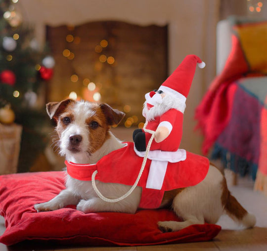 Hondenoutfit voor Kerst 5