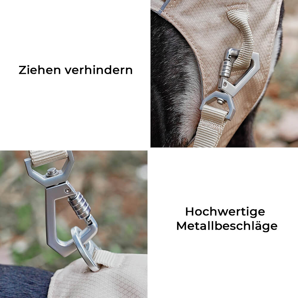 Hondentuig met Multifunctionele Riem voor Comfortabele Wandelingen 8