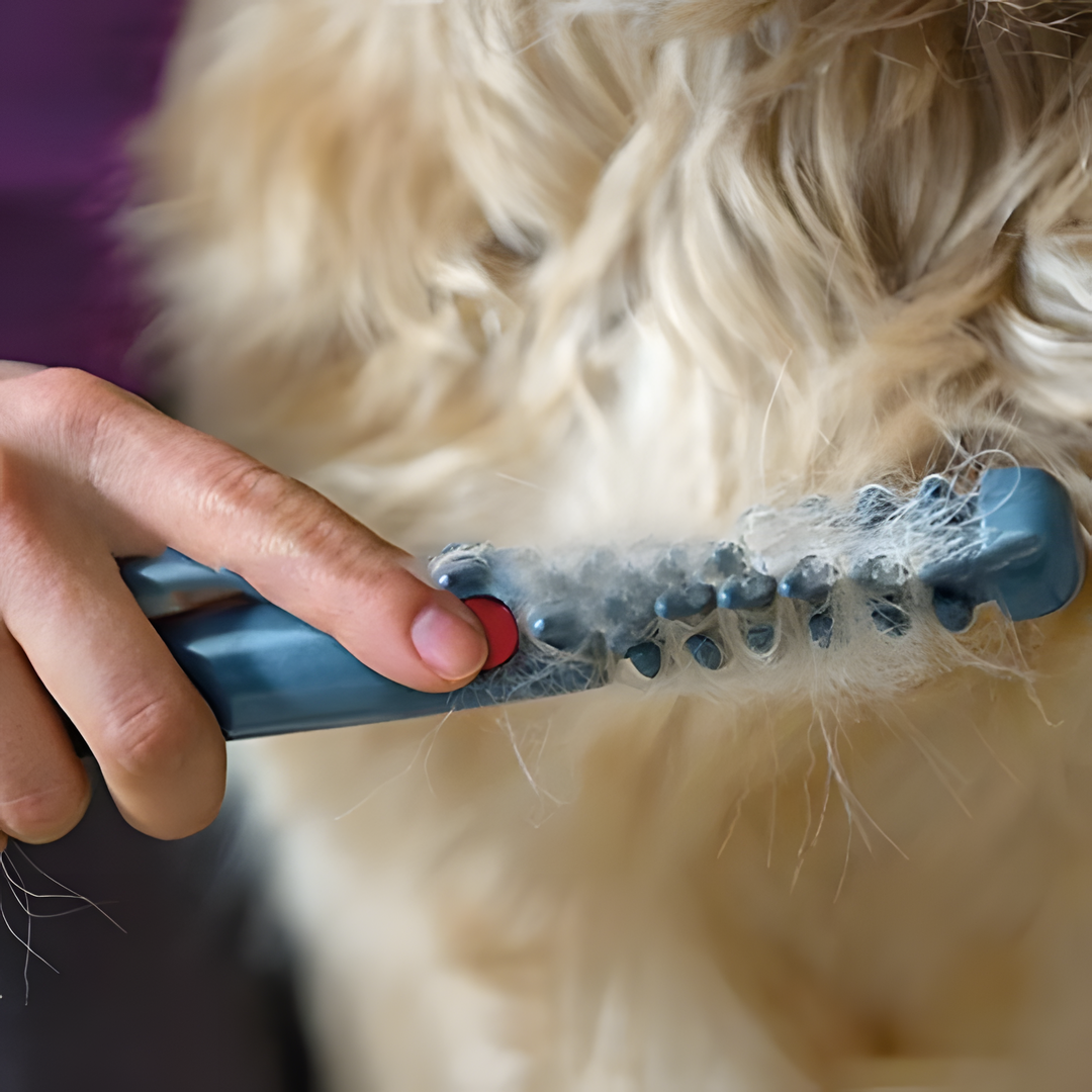 Huisdieren Verzorgingshulpmiddel voor Ontwarren 3