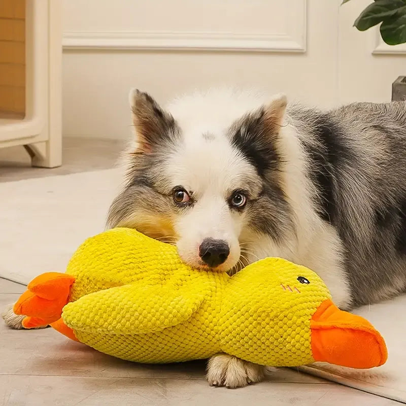 Interactief Hondenspeelgoed FlappyDuck met Geluid 1