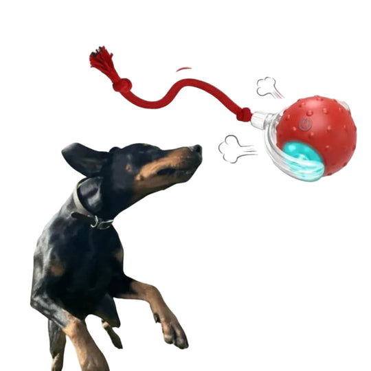 Interactief Hondenspeelgoed Rollende Bal voor Actieve Honden 0