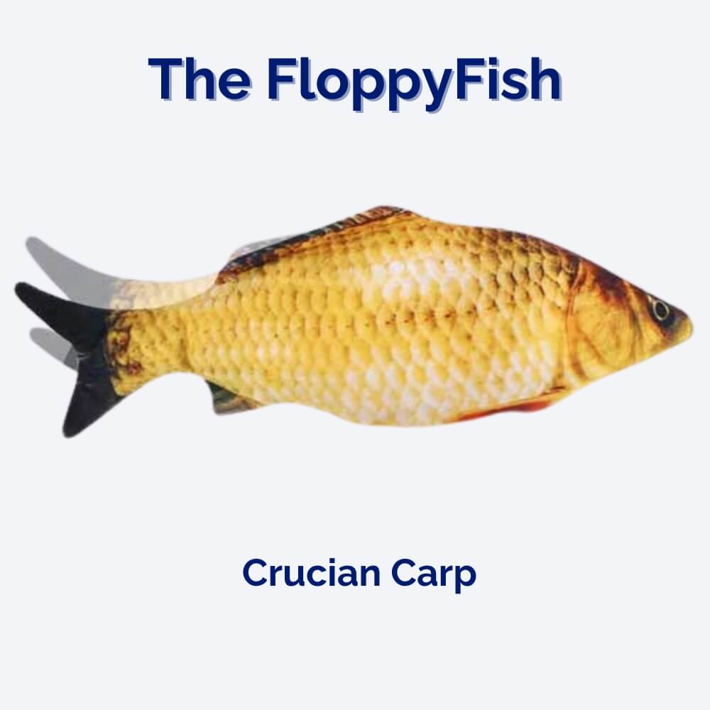 Interactief Hondenspeeltje FloppyFish 3