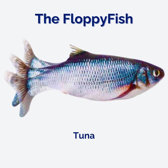 Interactief Hondenspeeltje FloppyFish 4
