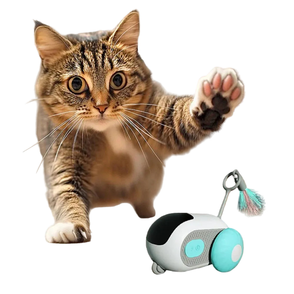 Interactief Speelgoed voor Katten TurboChase 0