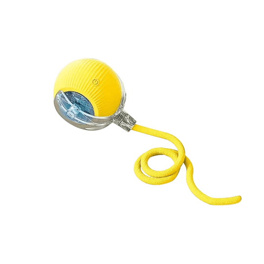 Interactieve Hondenbal met Automatische Beweging 14