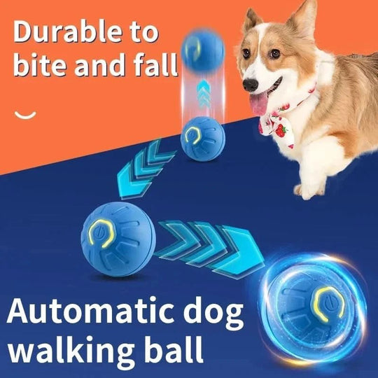 Interactieve Hondenbal met Automatische Beweging 2