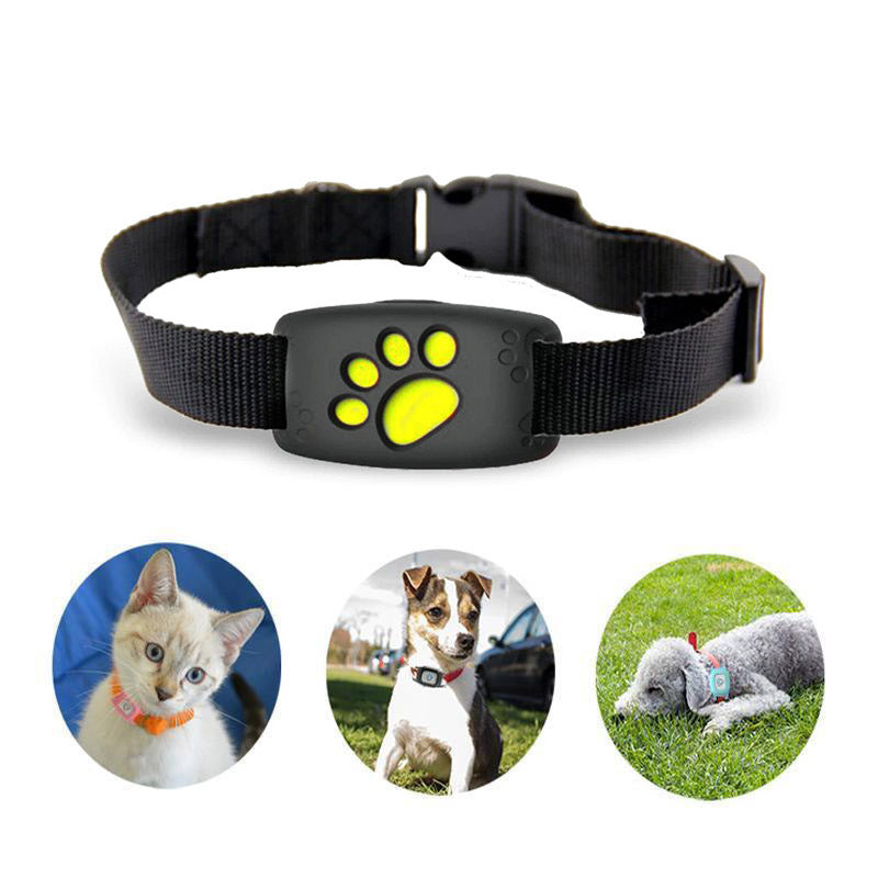 Katten GPS-halsband Slimme Tracker Waterdicht Schokbestendig 4