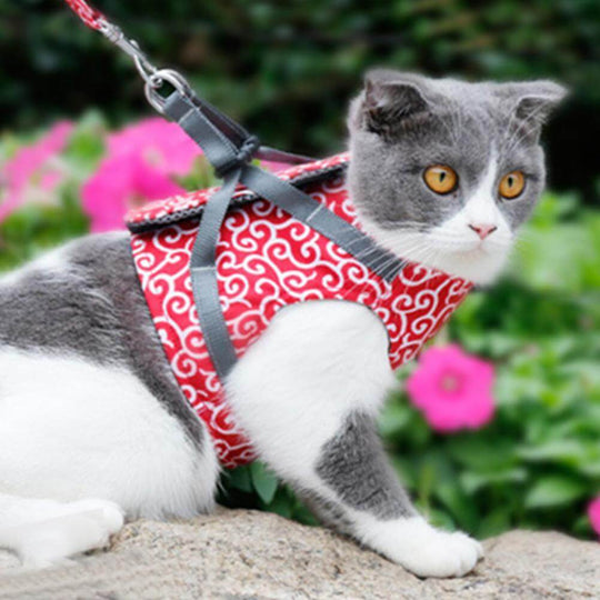 Katten Harnas voor Buitenactiviteiten 1