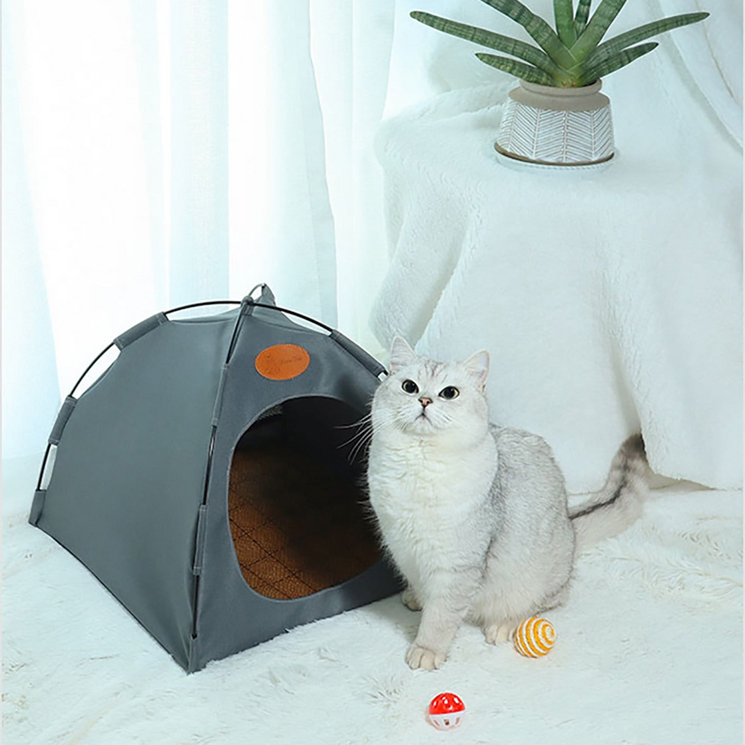 Katten Tent Ademend Ontwerp Draagbaar 6