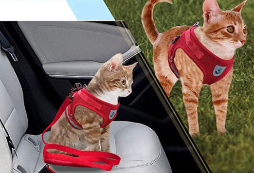 Katten Tuigje voor Avontuurlijke Wandeling met Reflecterende Strips 3