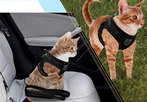 Katten Tuigje voor Avontuurlijke Wandeling met Reflecterende Strips 5