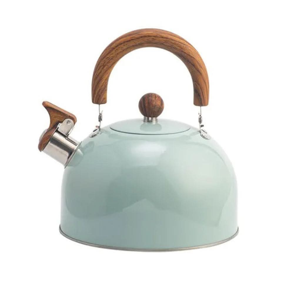 Klassieke Fluitketel 3 Liter met Modern Design 5