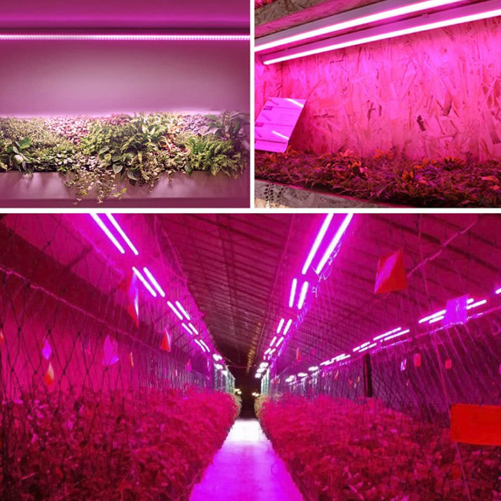 LED Plantenlamp Volledig Spectrum 3