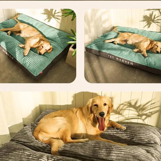 Orthopedisch Hondenbed voor Wintercomfort met Gewrichtsondersteuning 2