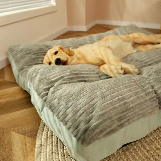 Orthopedisch Hondenbed voor Wintercomfort met Gewrichtsondersteuning 4