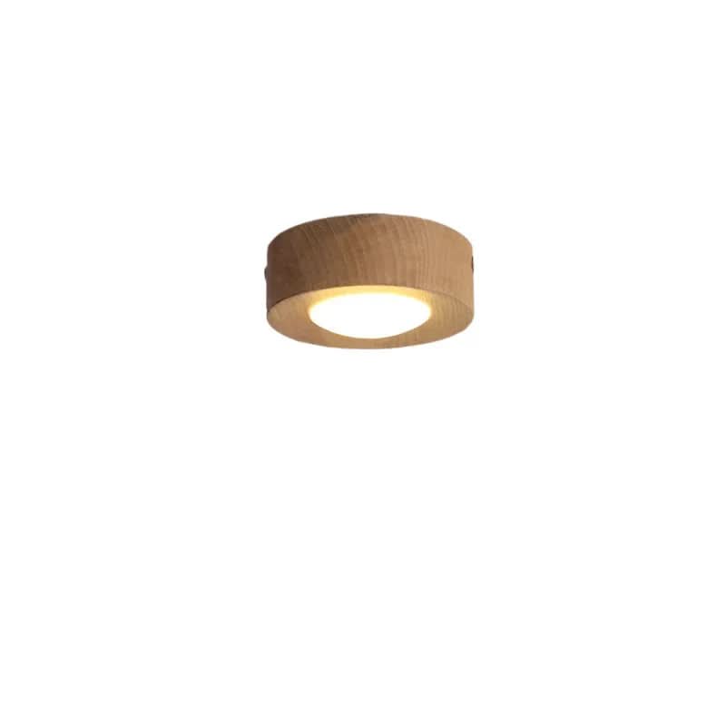 Plafondlamp voor Woonkamer met Natuurlijke Charm 5