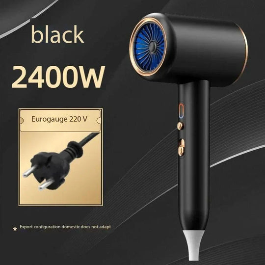 Professionele Föhn 2400W met Ionentechnologie 2