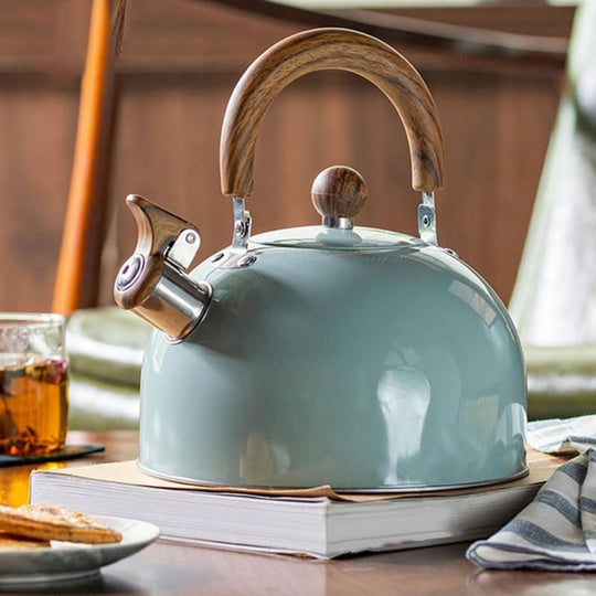 Roestvrijstalen Kettle 3L met Ergonomisch Handvat en Fluitsignaal 0