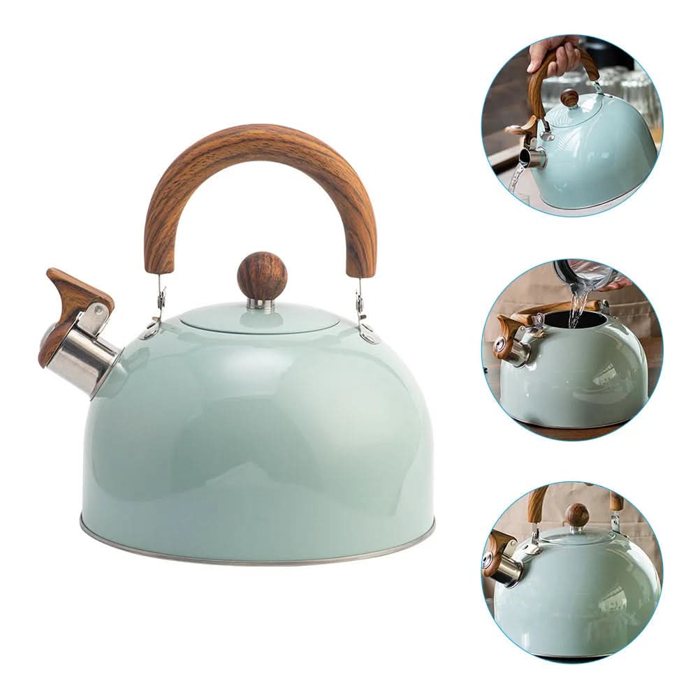 Roestvrijstalen Kettle 3L met Ergonomisch Handvat en Fluitsignaal 3