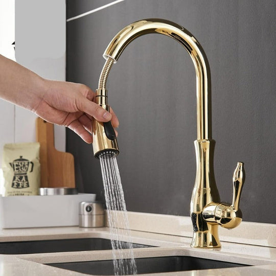 Uittrekbare Keukenkraan Anton Modern Design 6