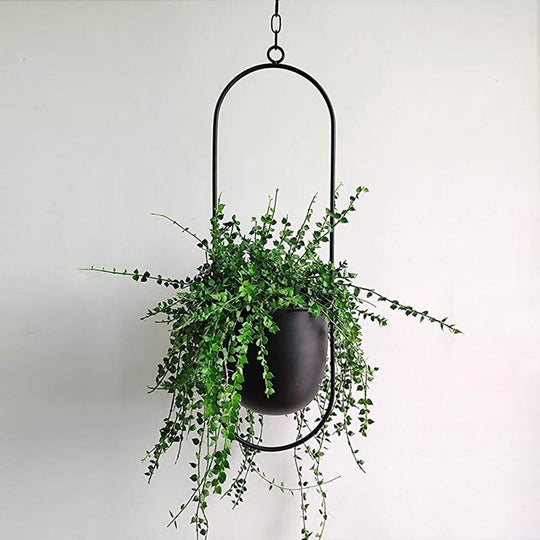 Wandplantenhanger Minimalistisch Met Verstelbare Ketting 4