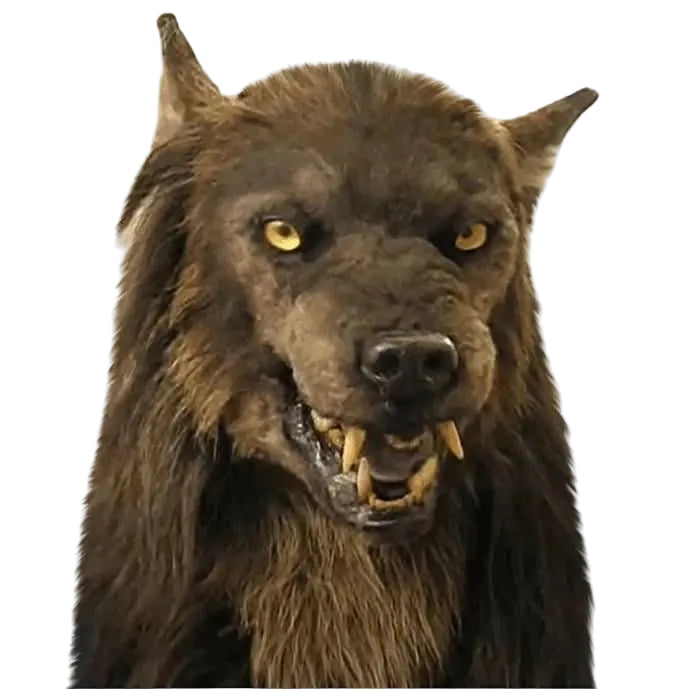 Weerwolfmasker voor Halloween en Cosplay 3