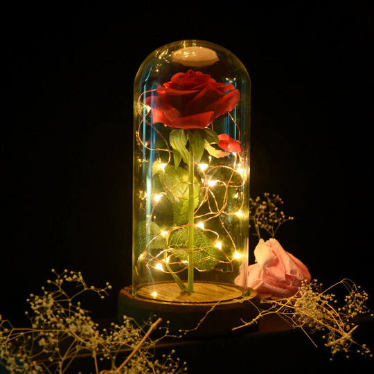 LED Eeuwige Roos