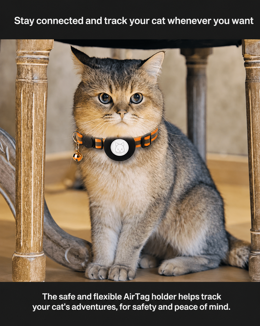 Katten GPS-trackerhalsband voor Veiligheid en Zichtbaarheid