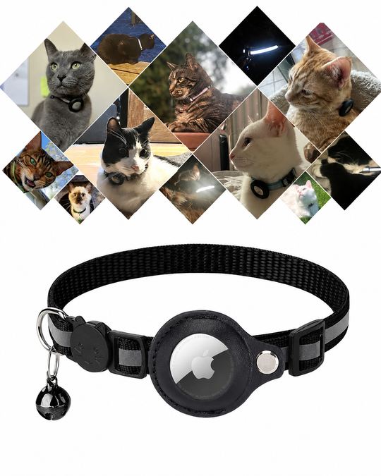 Katten GPS-trackerhalsband voor Veiligheid en Zichtbaarheid