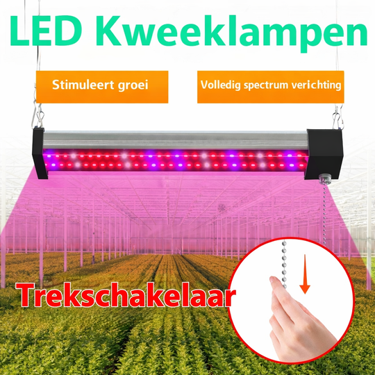 LED Plantenlamp Volledig Spectrum